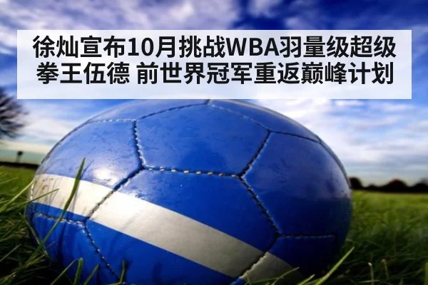 徐灿宣布10月挑战WBA羽量级超级拳王伍德 前世界冠军重返巅峰计划